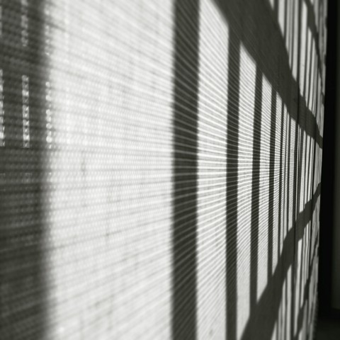 Geometric Shadows