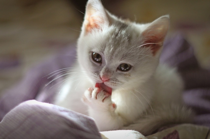 Wash oneself
