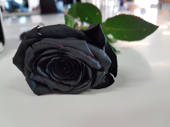 Black Rose