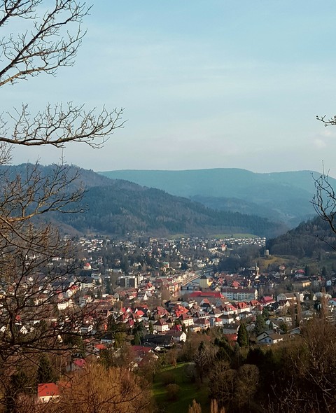Village
