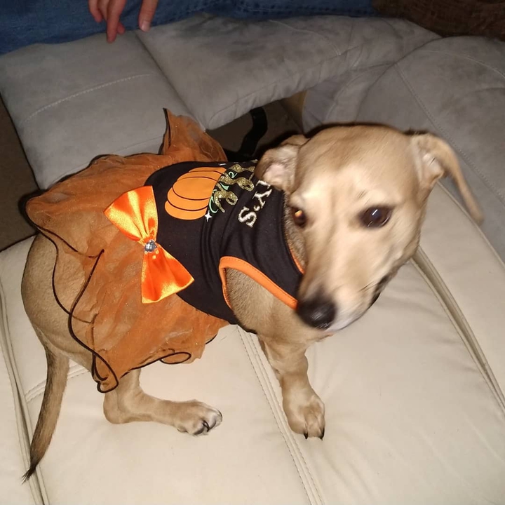 My little pumpkin