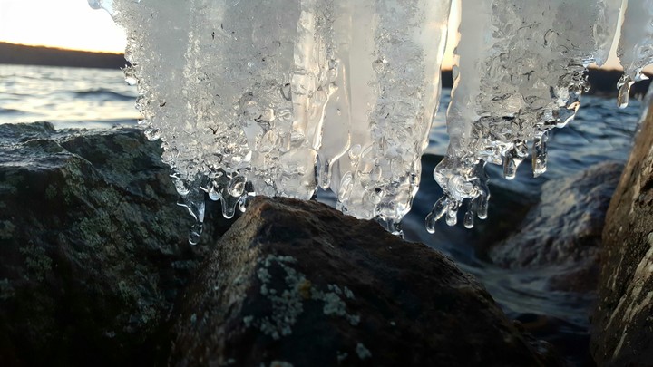 spring is coming