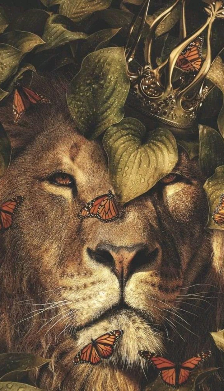 the lion king