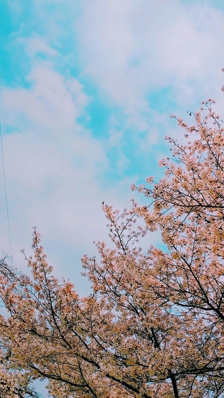 봄