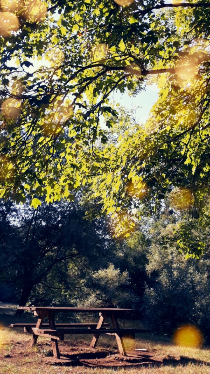 paysage