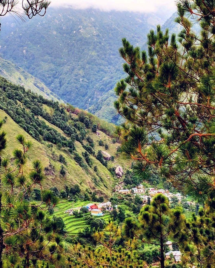 India# Hill # Area.