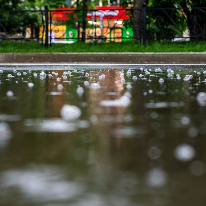 Rain