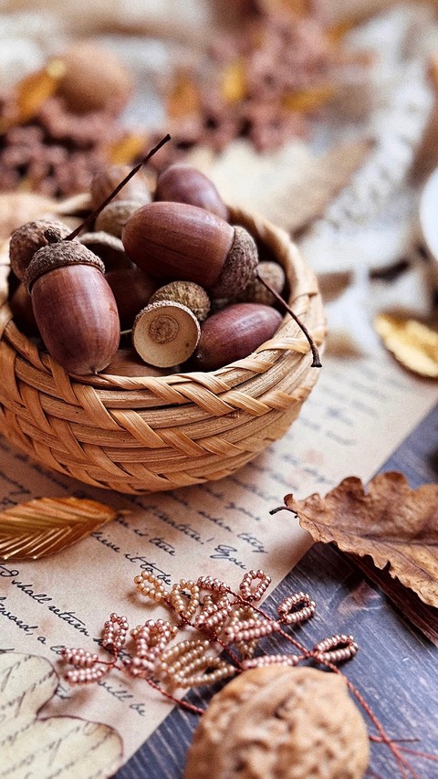 Serveware, Still_life, Basket