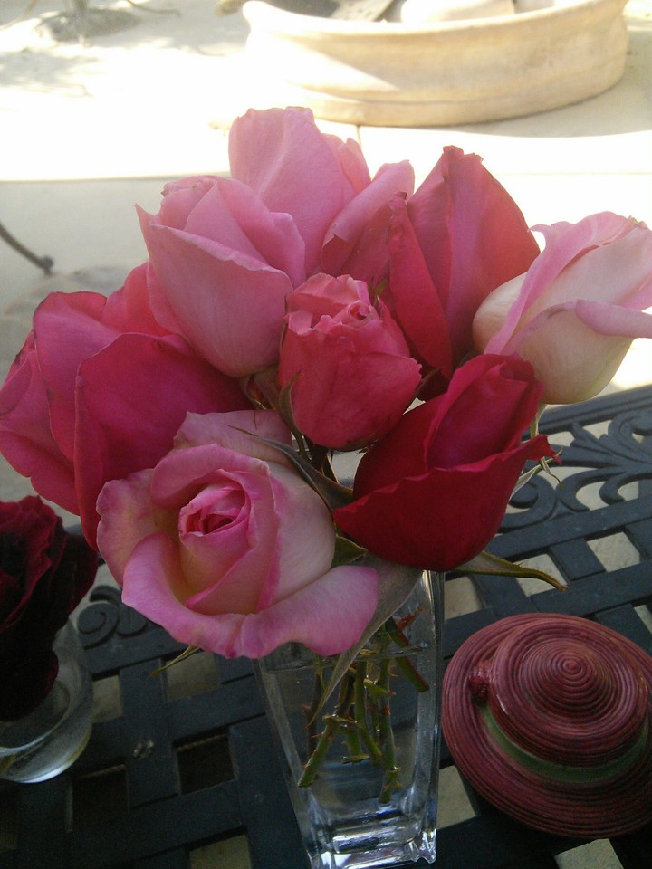 garden flowers