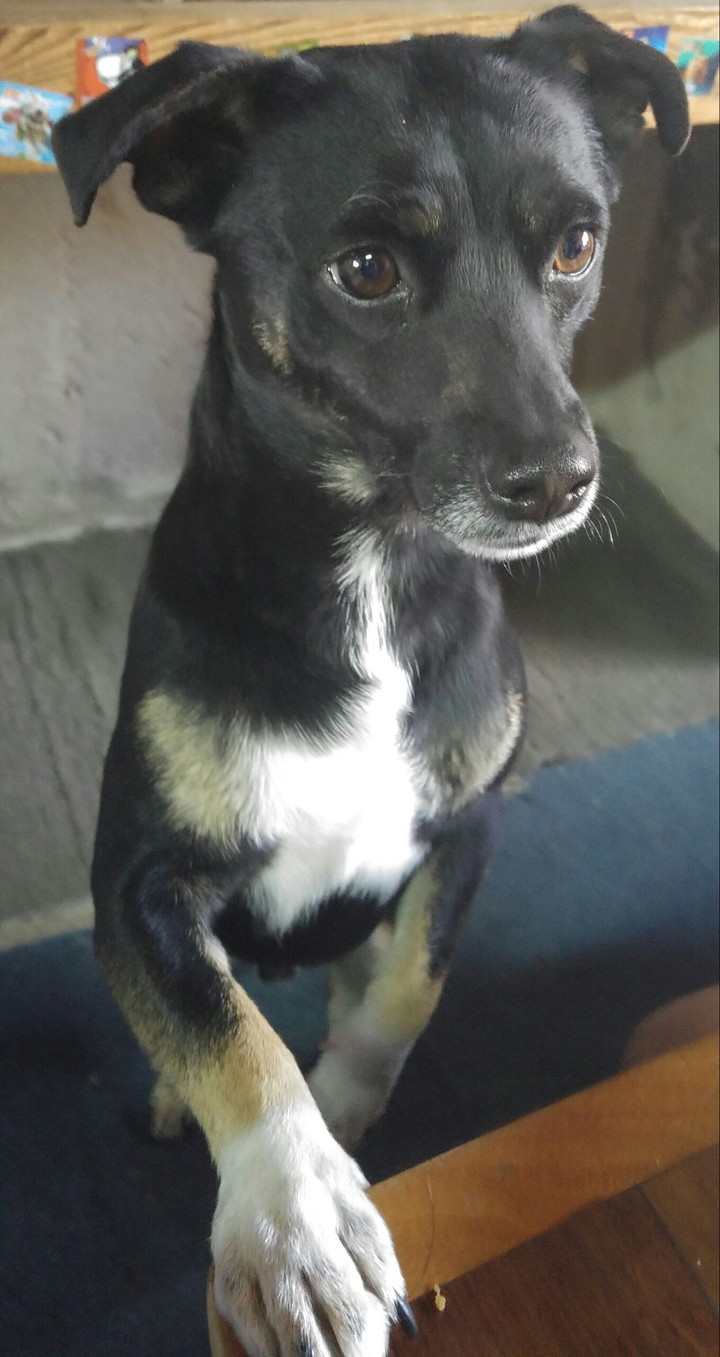 esperando la comida