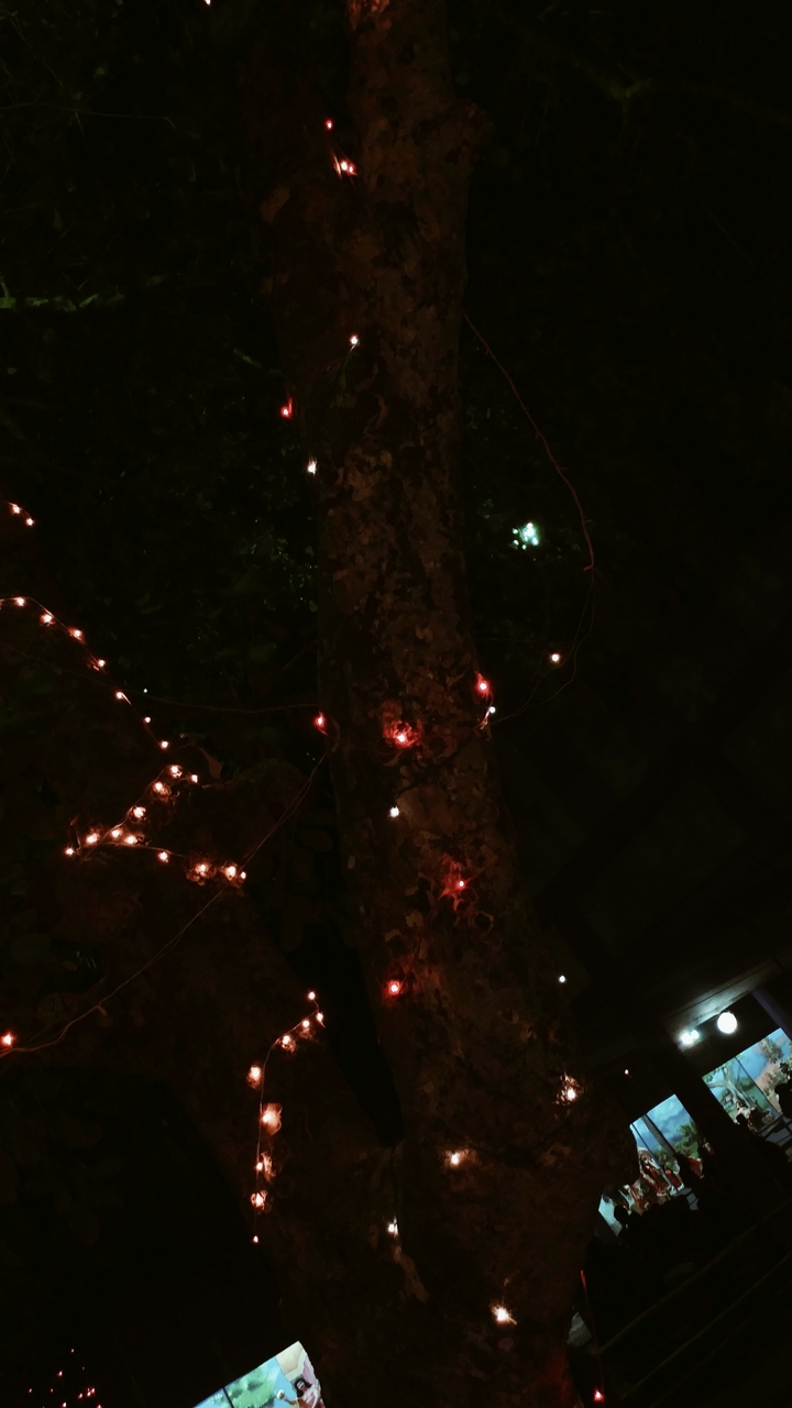 colourfull lights at night