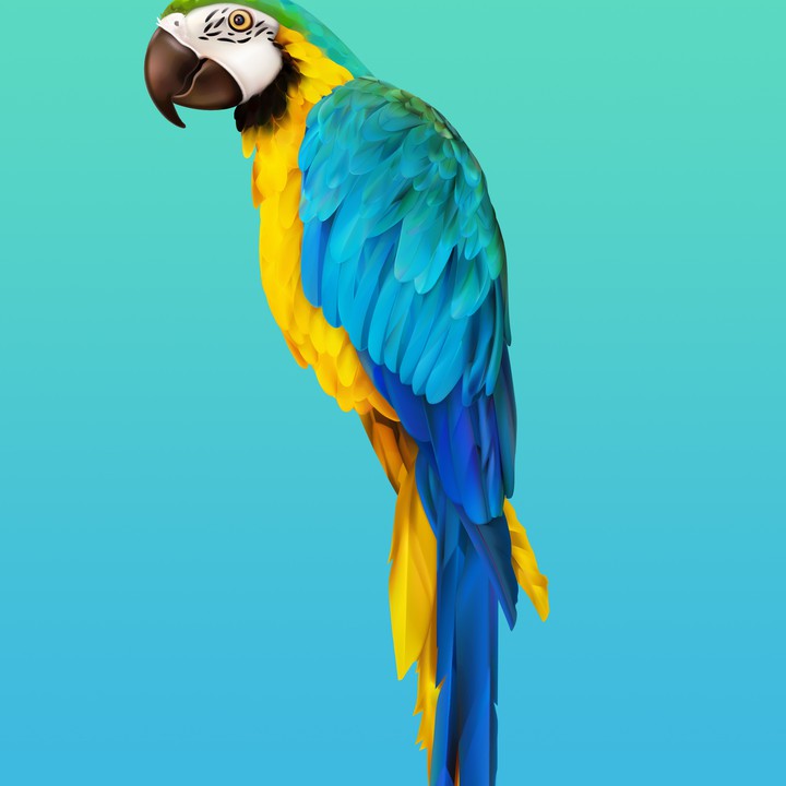 Huawei p40