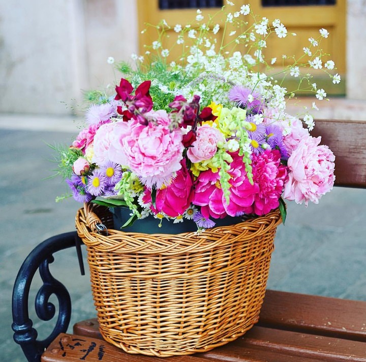 peonies