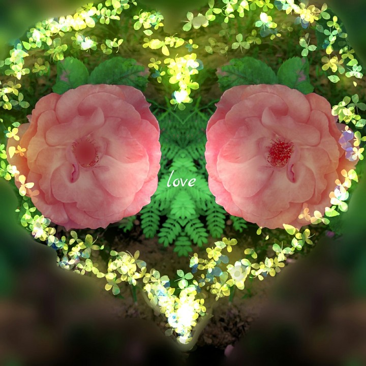 flowers love