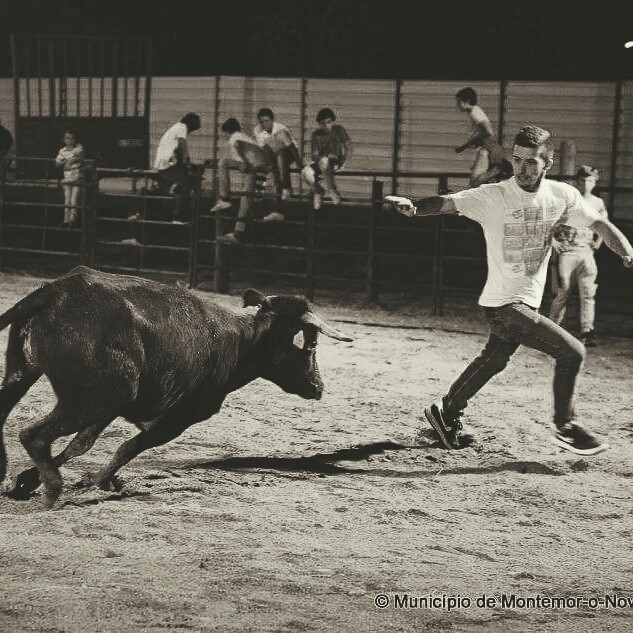 montemor17
