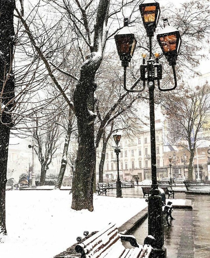 Lviv❄