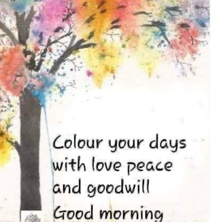 good Morning