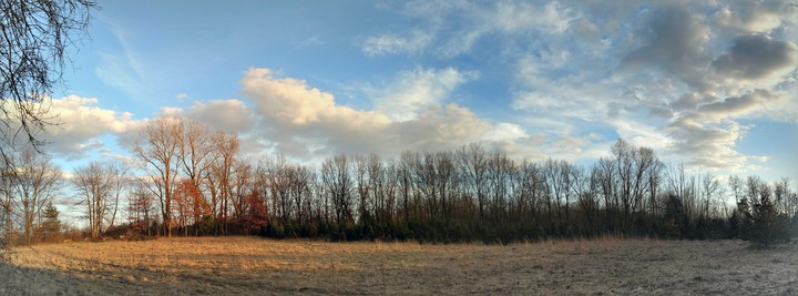 The Field at Dusk (panorama)
