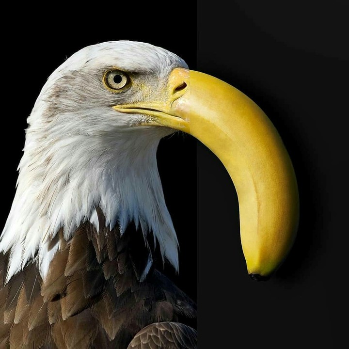 ?