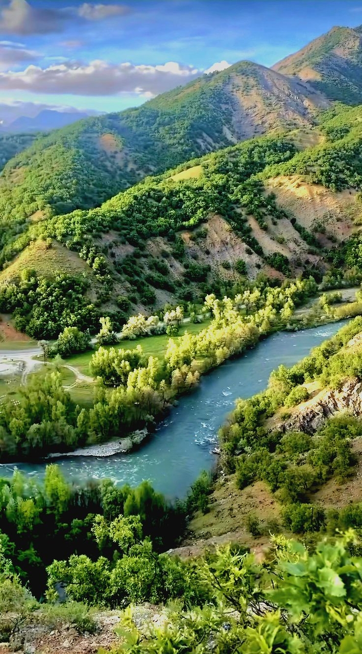 tapety vegetation, landscape