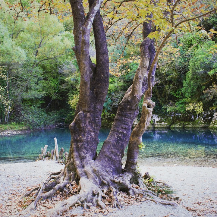 side the river