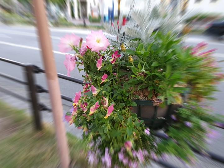 flower2