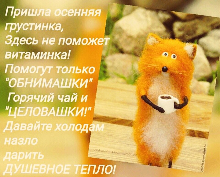 лиса