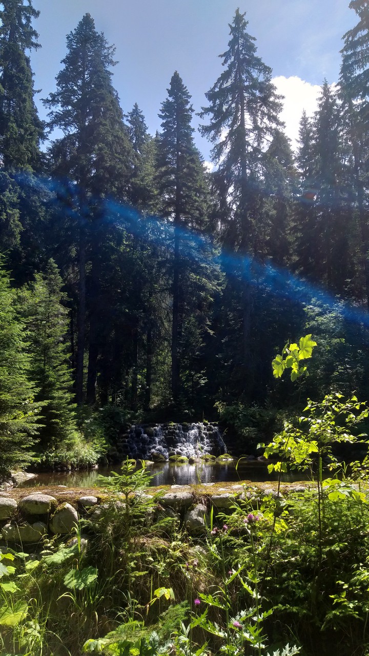 nature