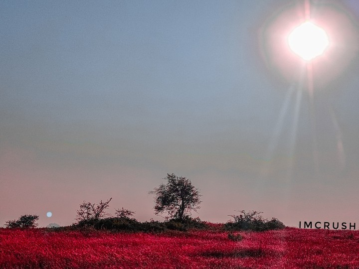 India's?? nature