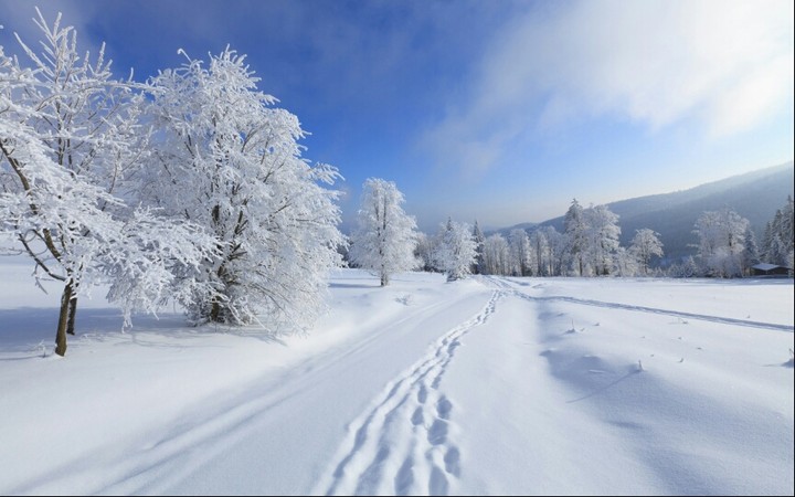 Frozen