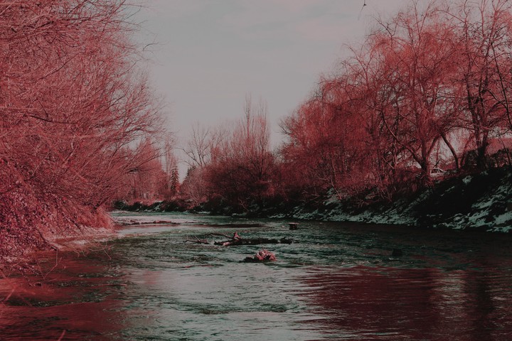 ■□■□