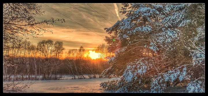 Winter