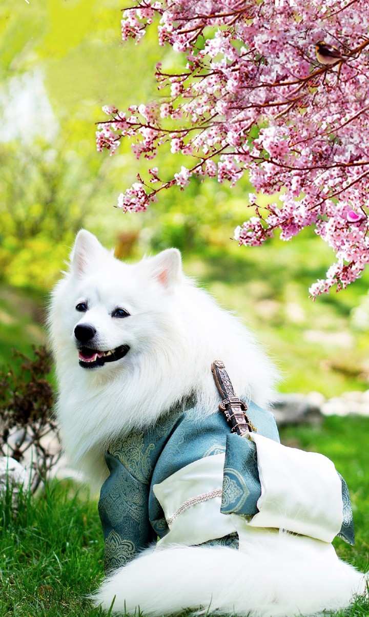 fluffy