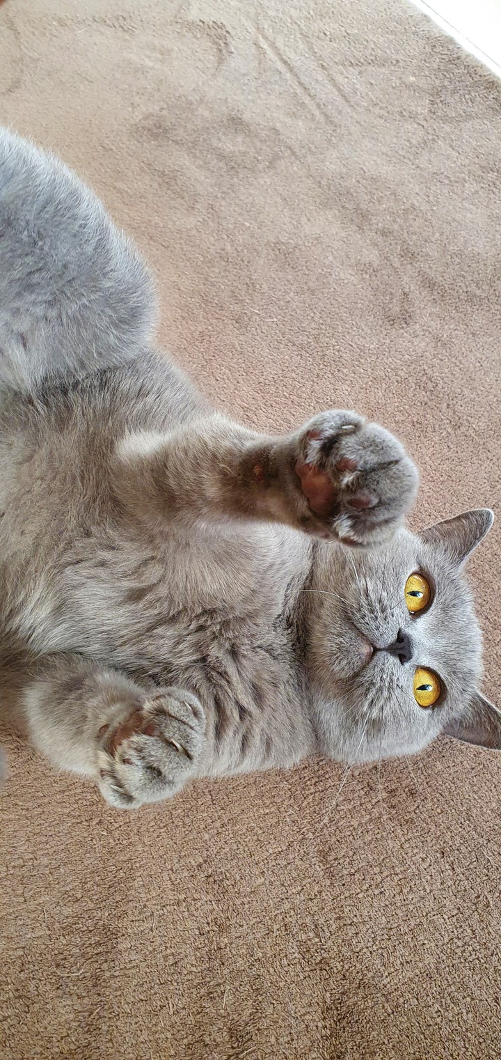 Elizabeth