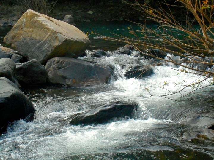 Nature
