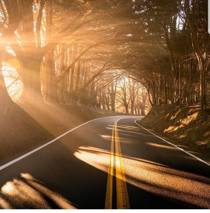 El Camino