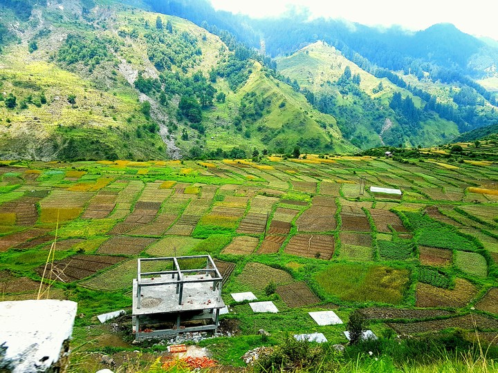 grasslands
