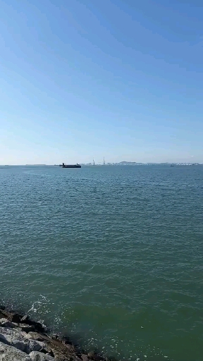 친구가 보내준 영상