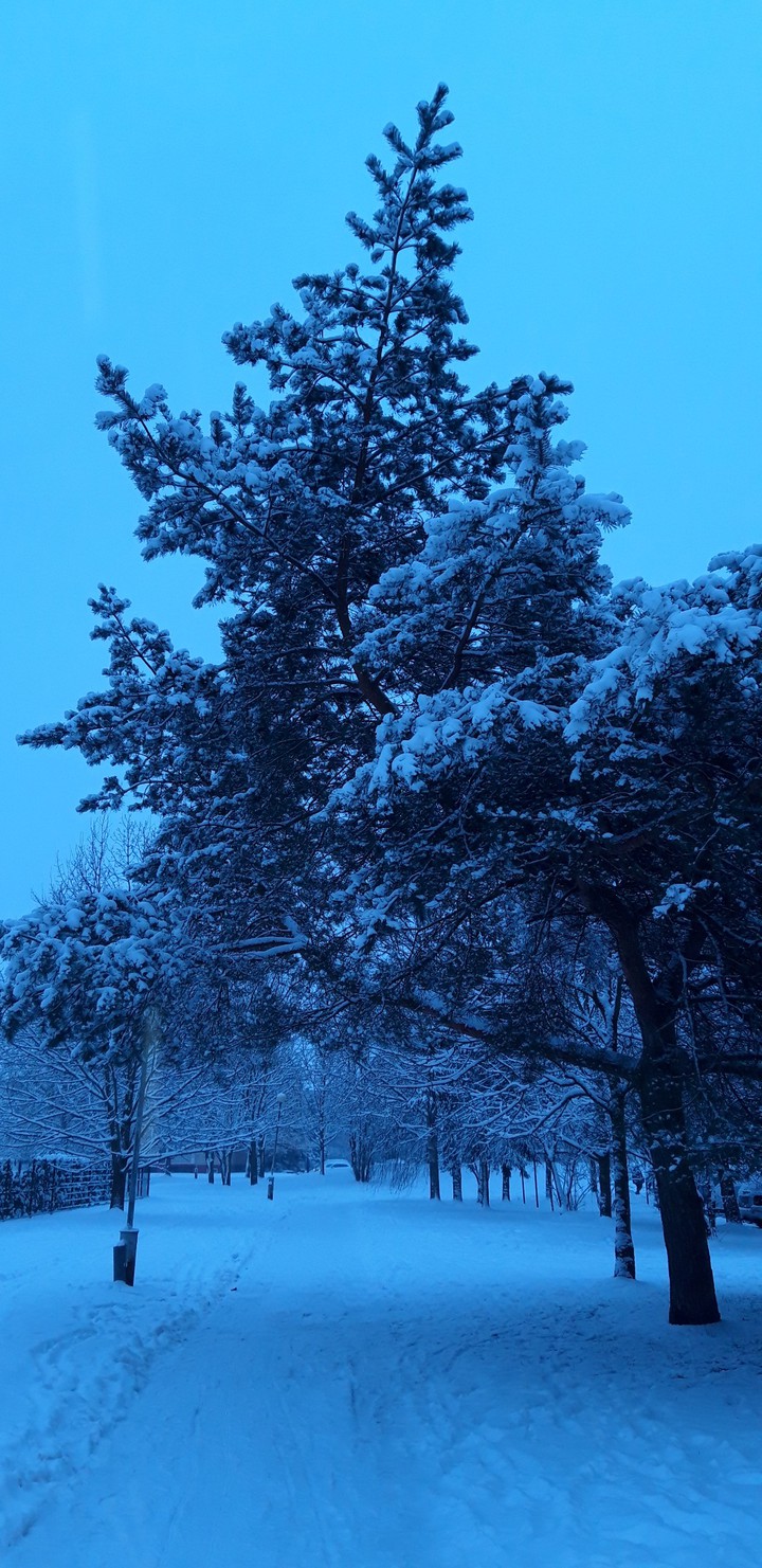 Beauty of the winter