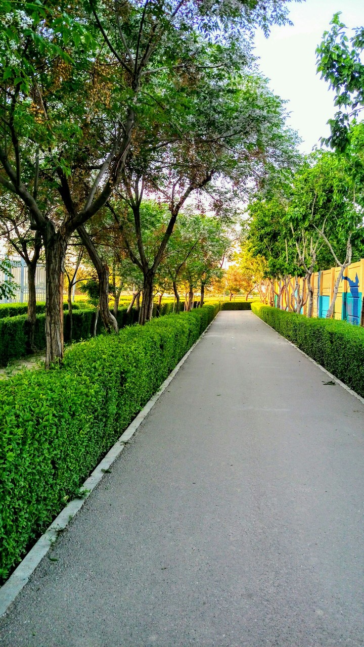aa