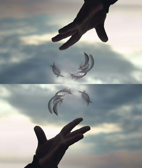 hands