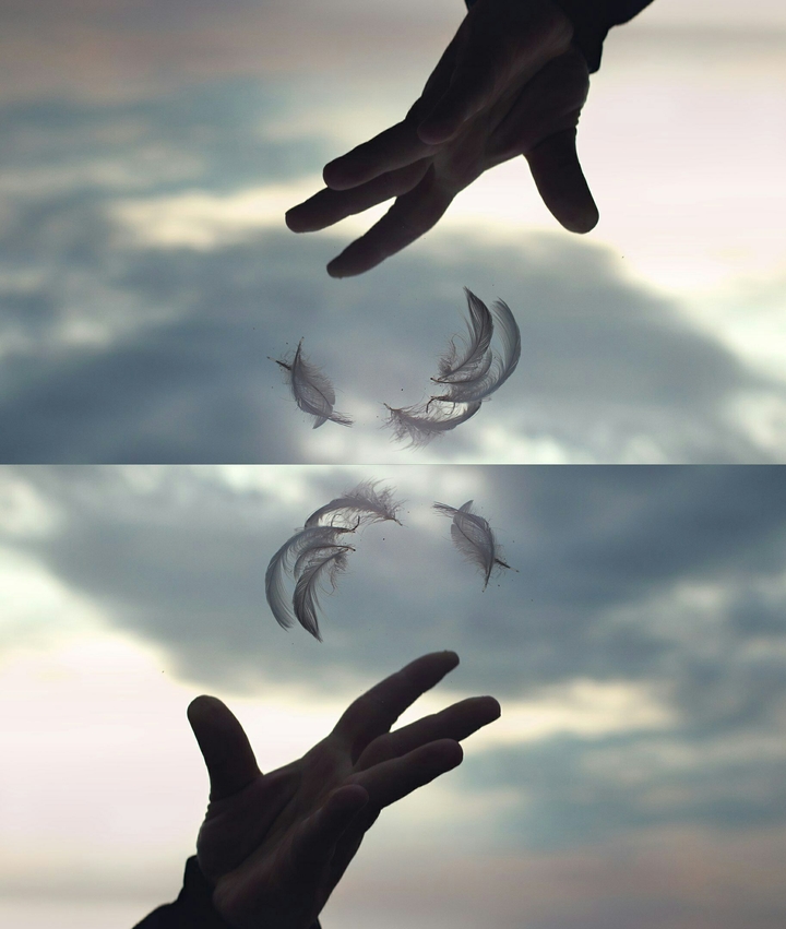 hands