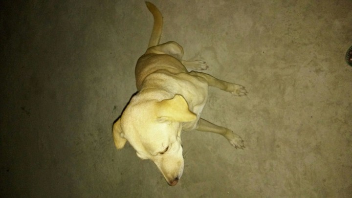 indra