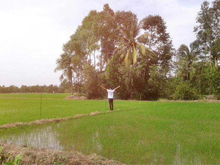 Field