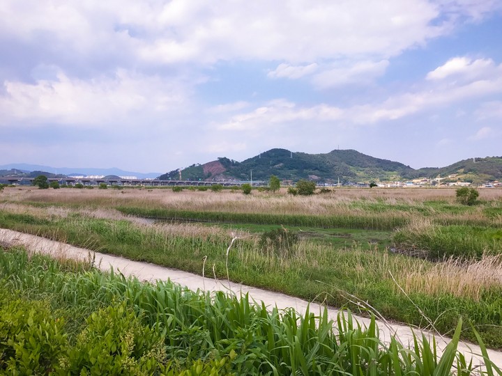 wetland