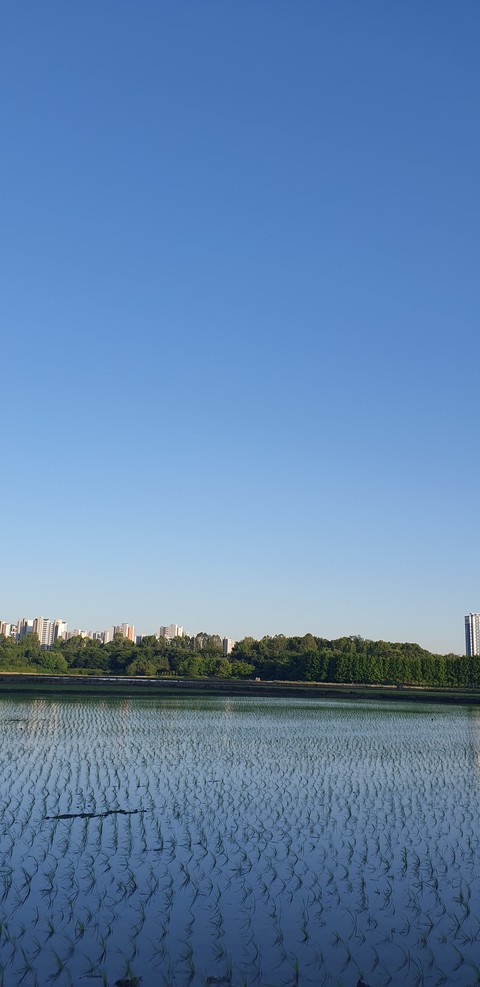 Blue, Water, Daytime