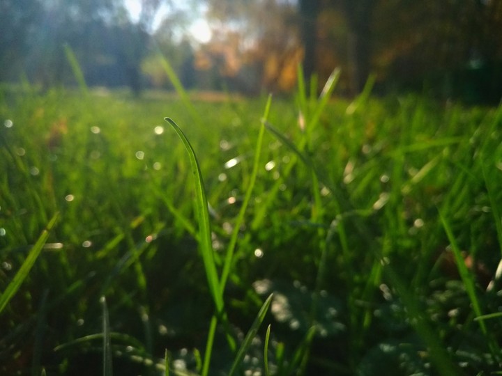 Sunny day