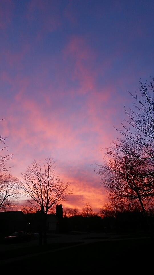 Illinois sunset