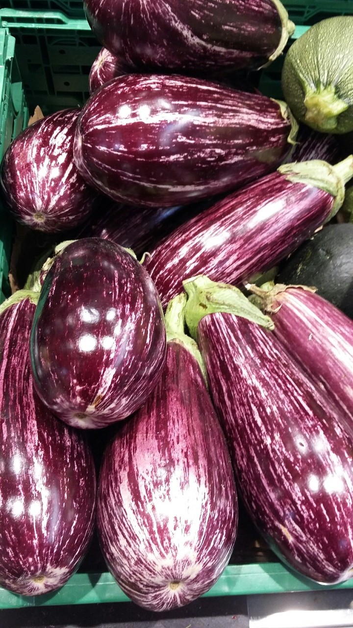aubergine tigrées