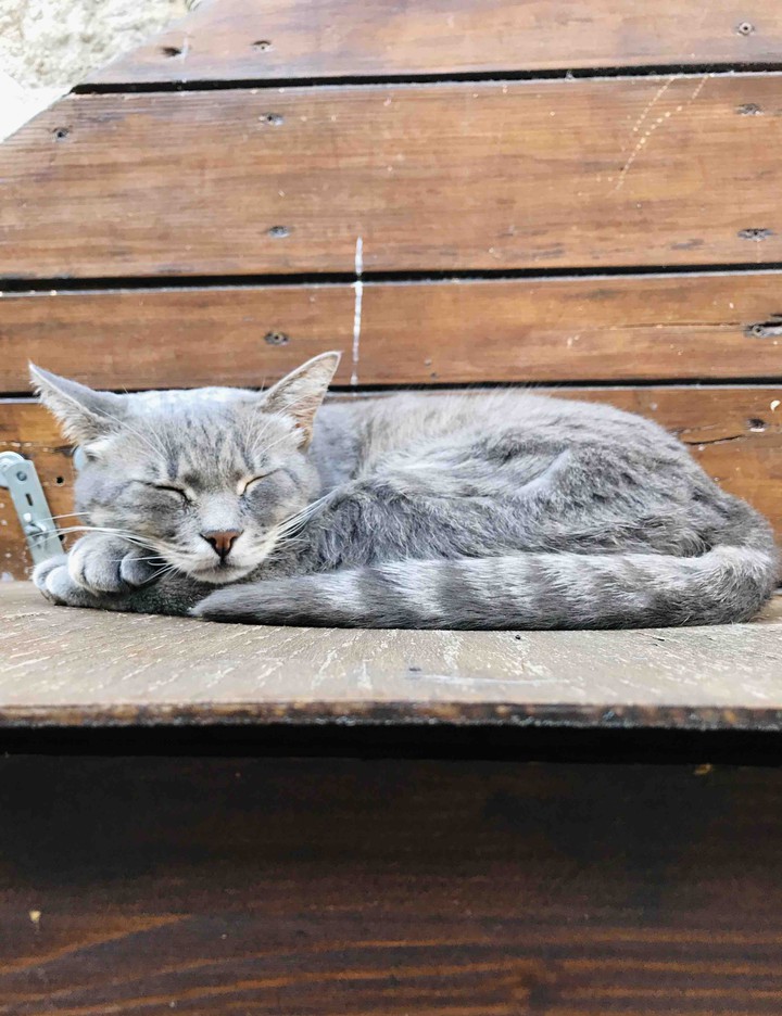 afternoon nap